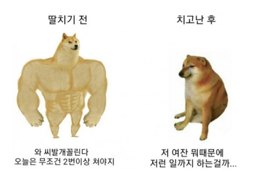 딸치기 전 vs 후