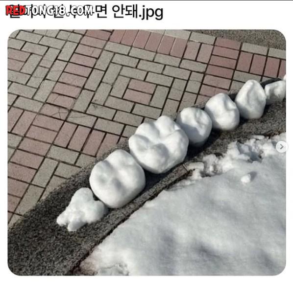 이해하면 무서운 짤