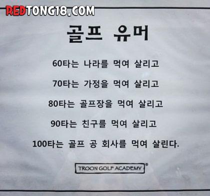 골프 타 분류