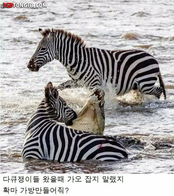 다큐멘터리 비하인드