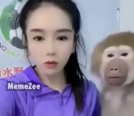 보정에 놀란 원숭이