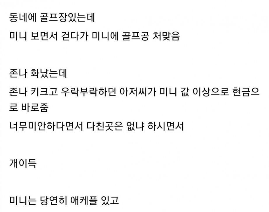 아이패드 보면서 길가다가 봉변당한 디씨인