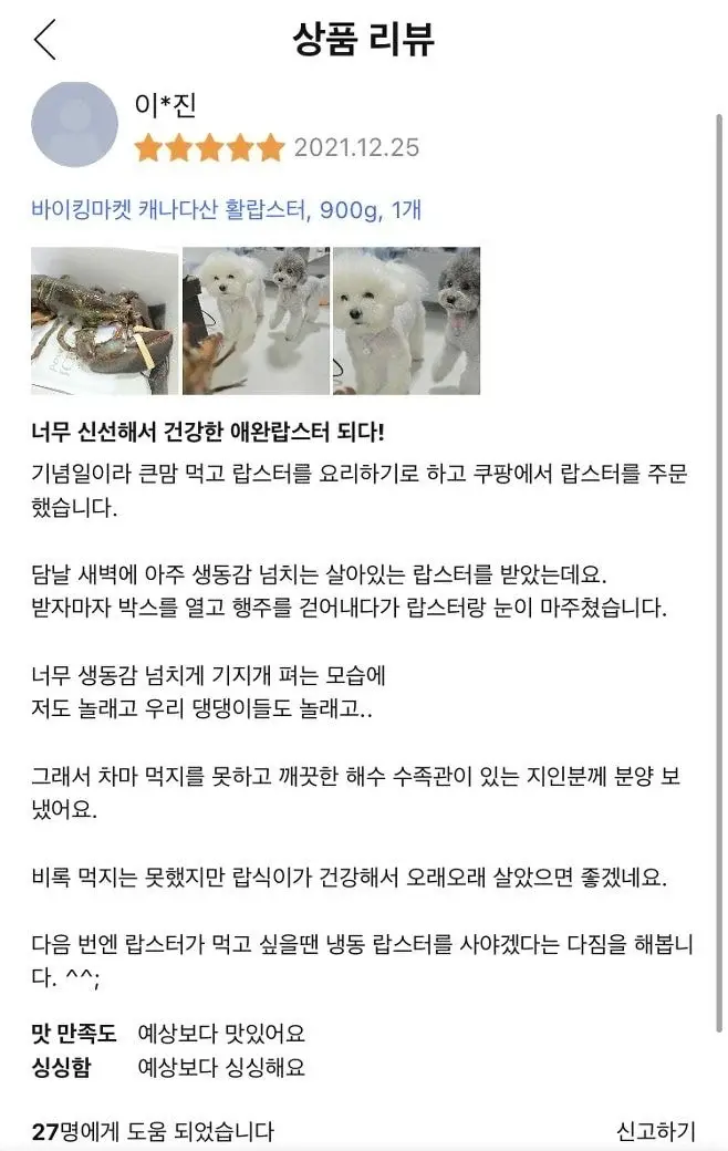 싱싱한 랍스터 구매 후기