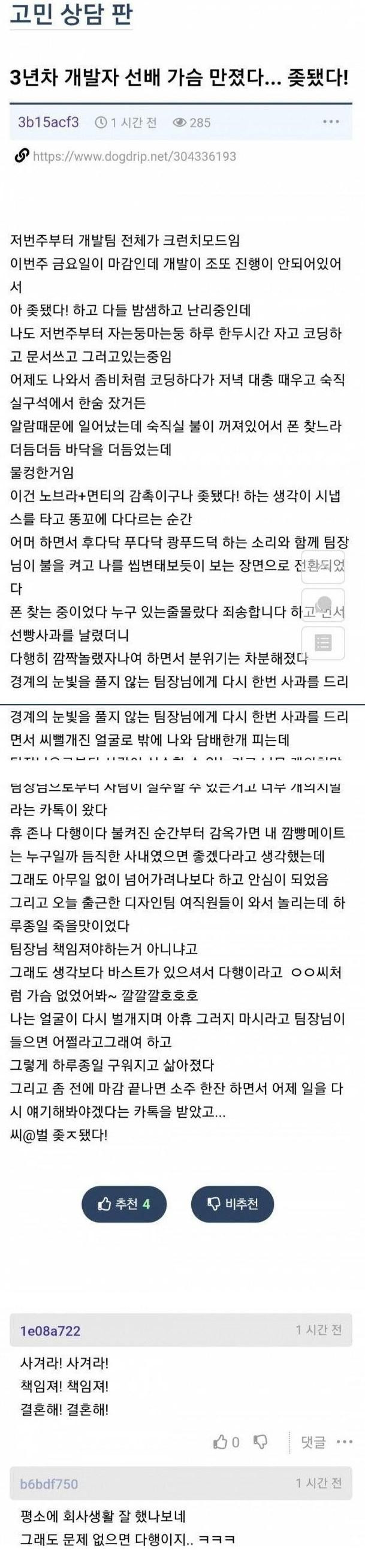 회사 여선배 가슴 만진 썰