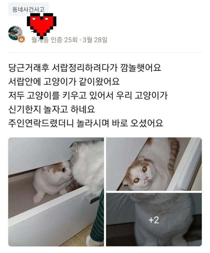 1+1 당근마켓 거래 혜자