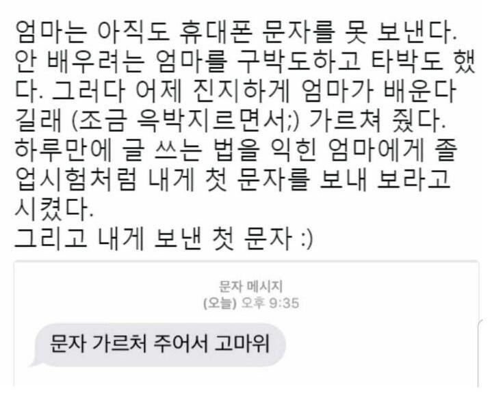 문자 보내는 방법을 처음 배운 엄마의 첫 문자