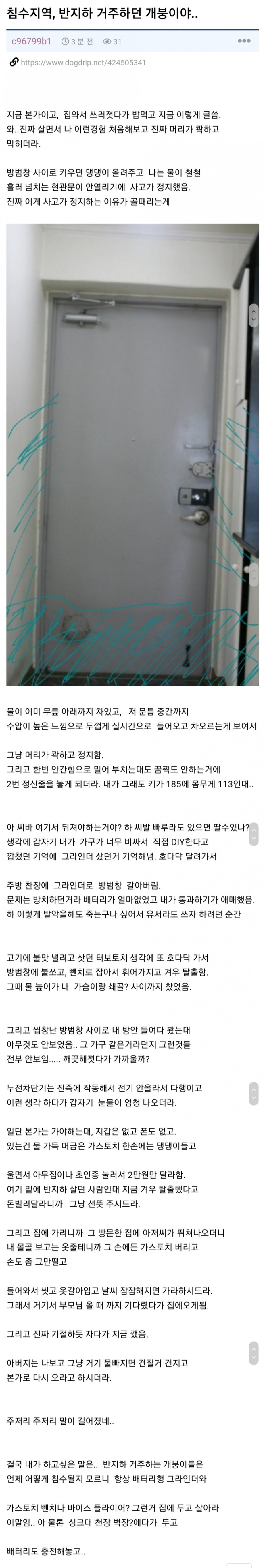 반지하 살다 침수돼서 진짜 죽을뻔한 개붕이 생존후기