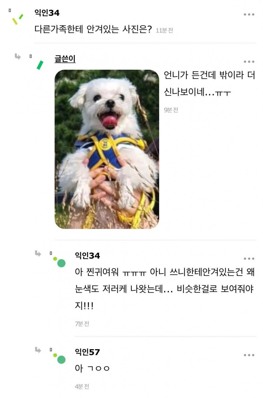 자기집 강아지가 싫어지려 한다는 인스티즈 회원