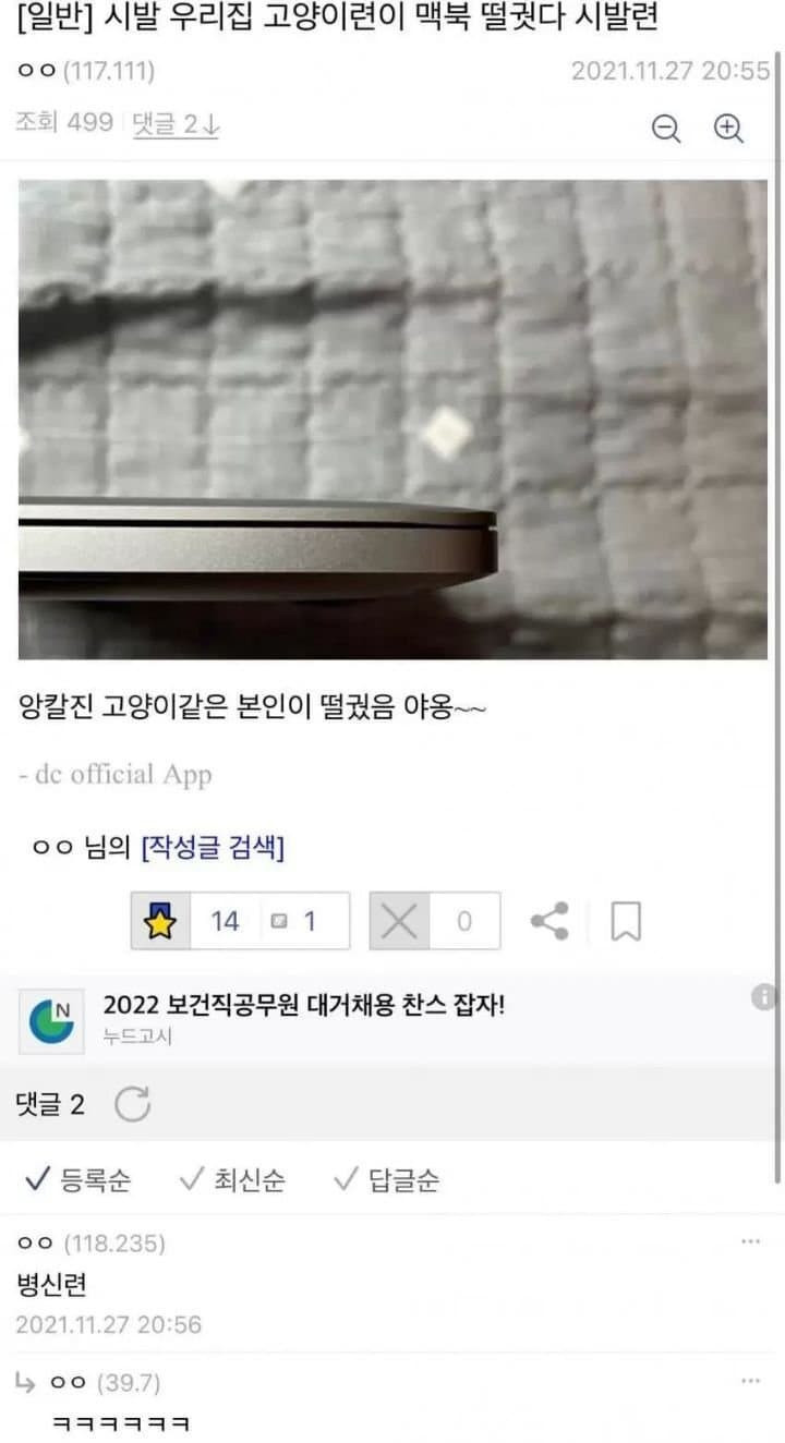 고양이가 맥북 떨궜다는 디시인