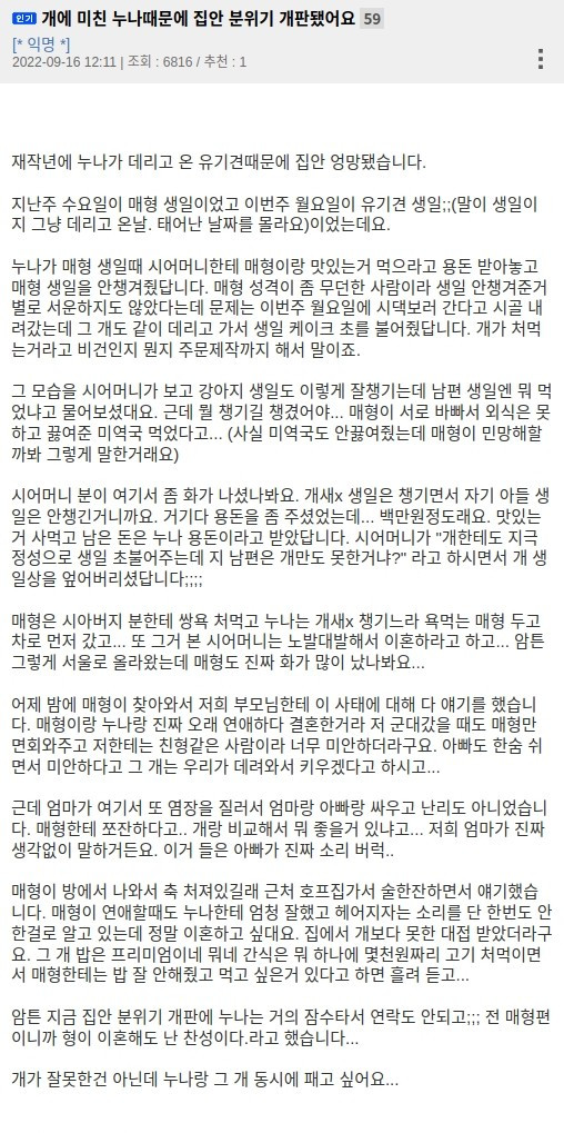 개에 미친 누나때문에 분위기 개판난 집안