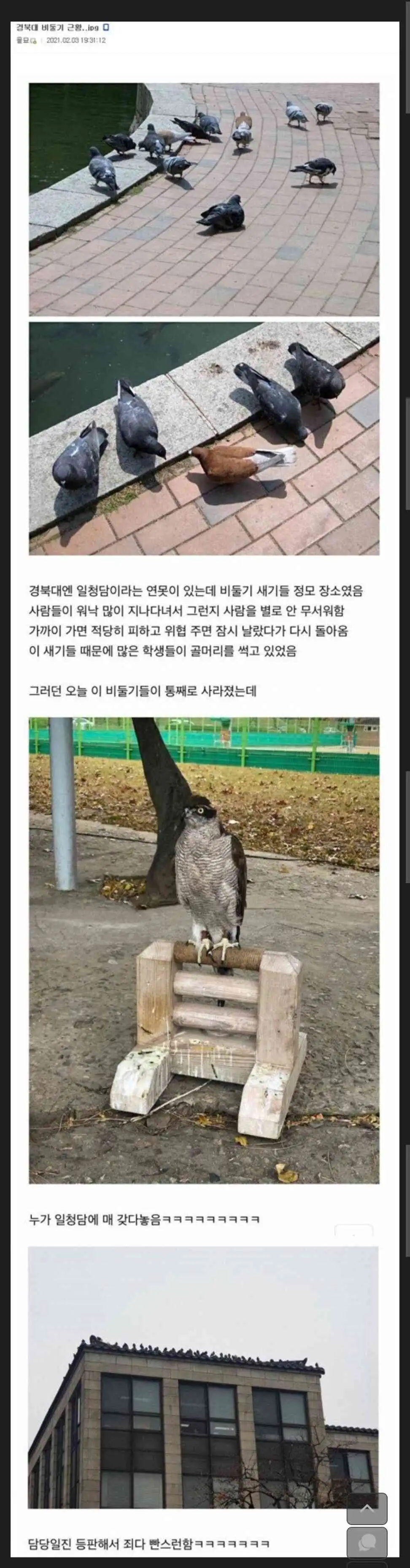 경북대 담당일진의 위엄