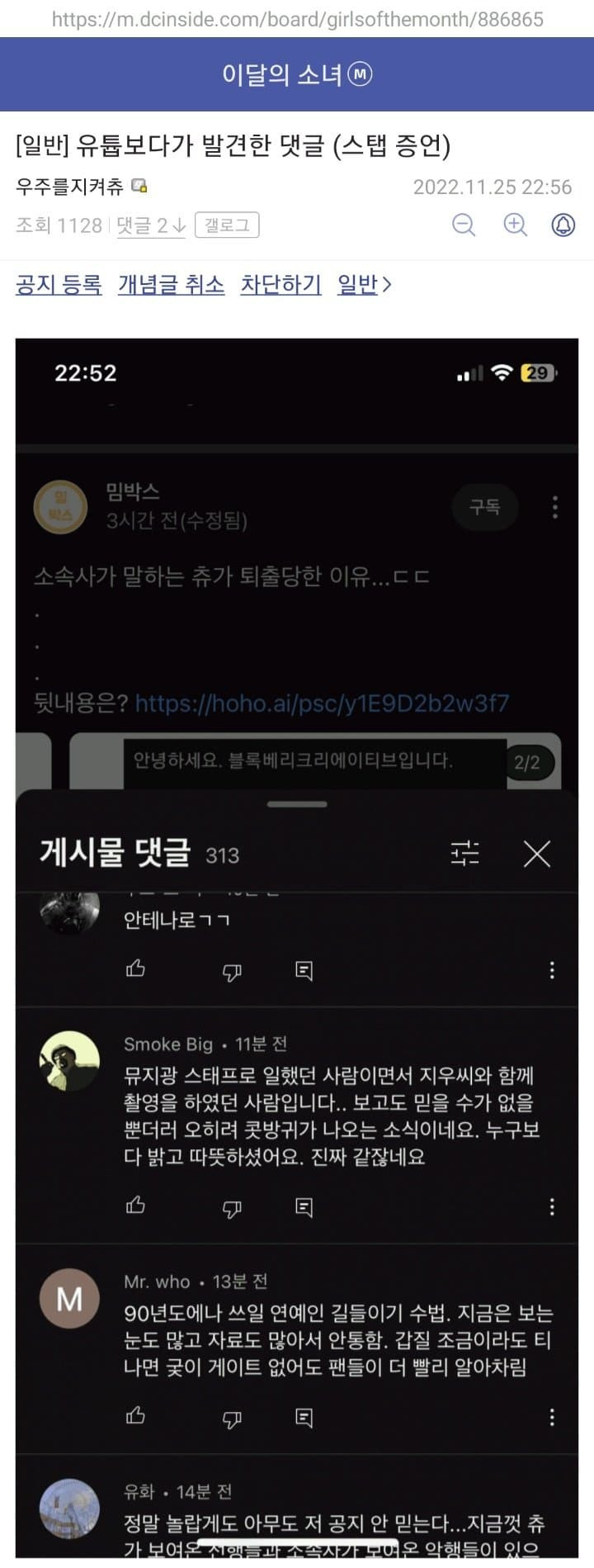 츄 관련 이달의소녀 갤러리에 올라온 증언들