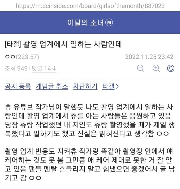 츄 관련 이달의소녀 갤러리에 올라온 증언들