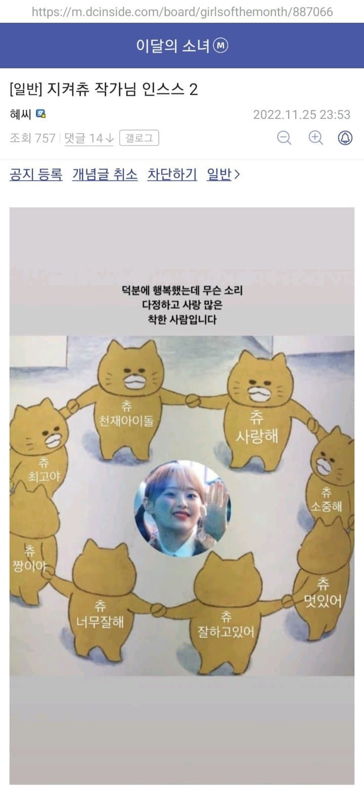 츄 관련 이달의소녀 갤러리에 올라온 증언들