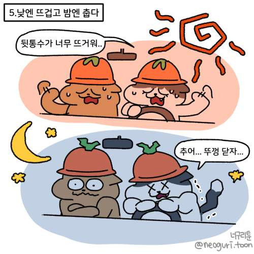 오픈카를 타기 전에 꼭 알아야하는 7가지