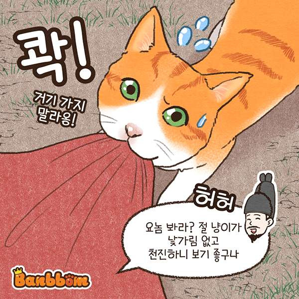 고양이 먹여키우라고 논과 밭을 하사한 조선 왕