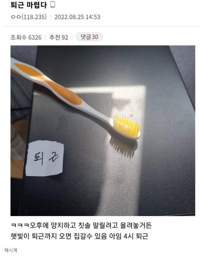 퇴근 마려운 디시의 장영실