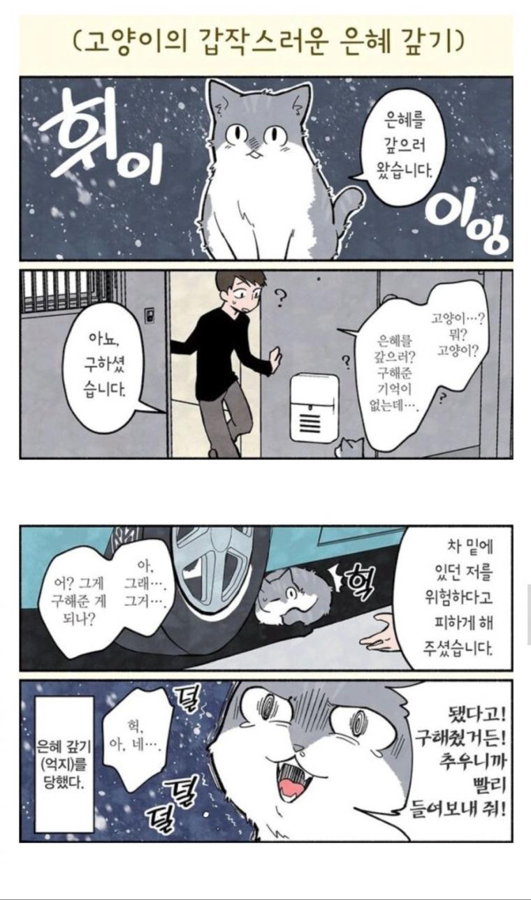 은혜갚은 고양이~ 만화(들)