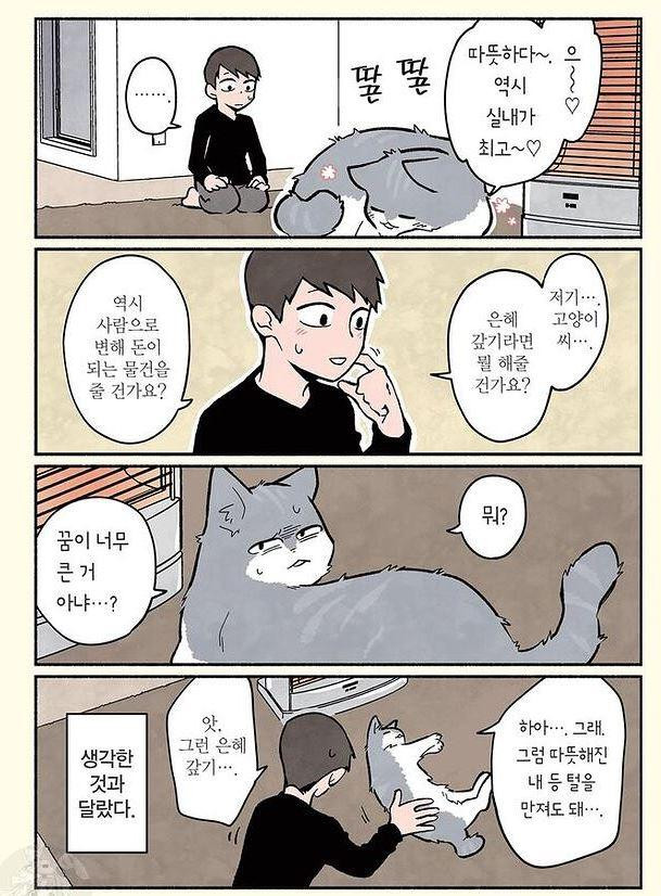 은혜갚은 고양이~ 만화(들)