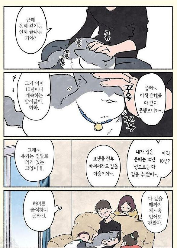 은혜갚은 고양이~ 만화(들)