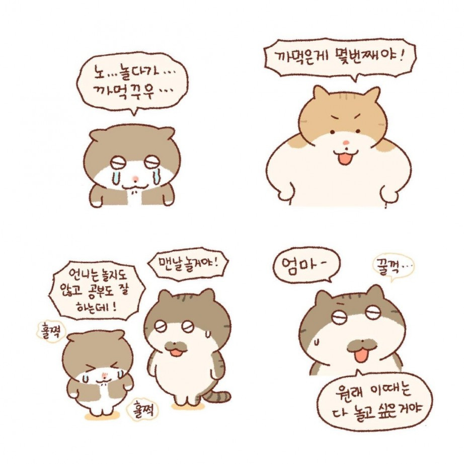 마음씨 따뜻한 언니.Manhwa