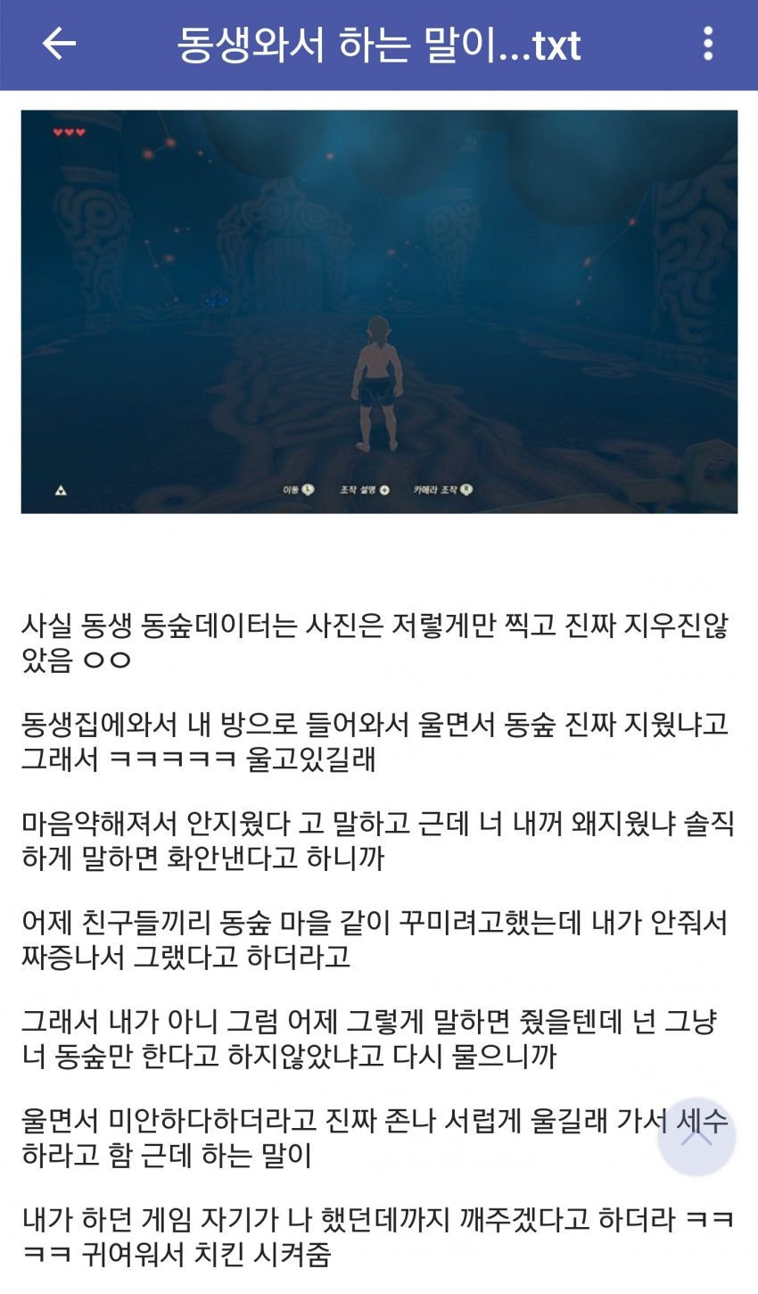 여동생년이 게임 세이브파일 삭제함 ㅅㅂ