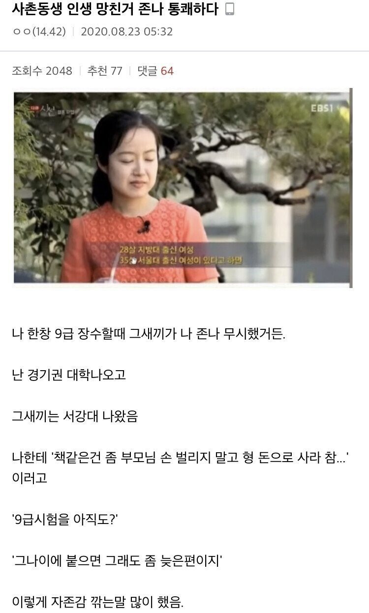 사촌동생 인생 망친 디씨인