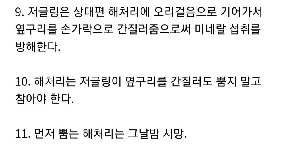 군대에서 신병들로 스타크래프트 한 썰