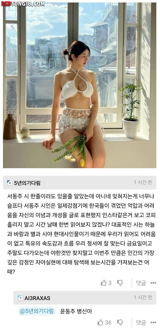 서동주 비키니 사진에 달린 댓글 레전드 