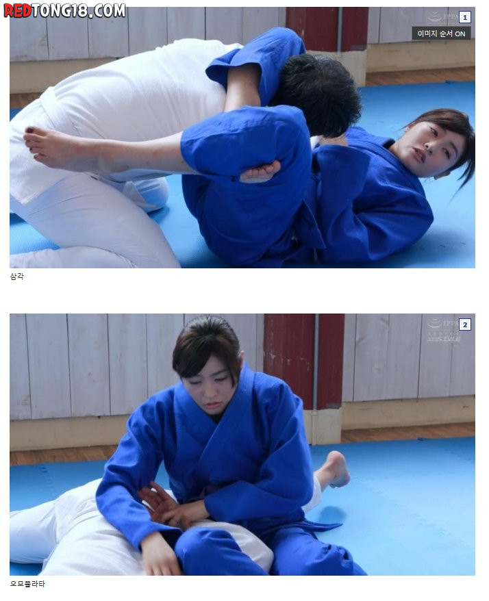 일본 야동 주짓수 기술을 보고 감탄한 주짓수갤러 