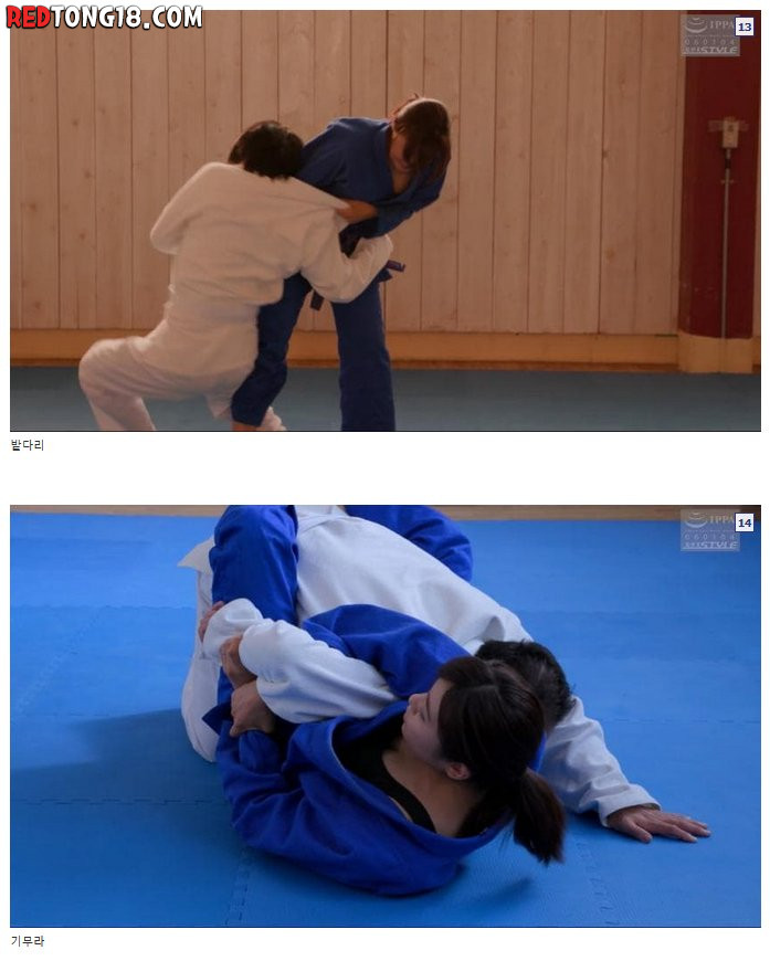 일본 야동 주짓수 기술을 보고 감탄한 주짓수갤러 