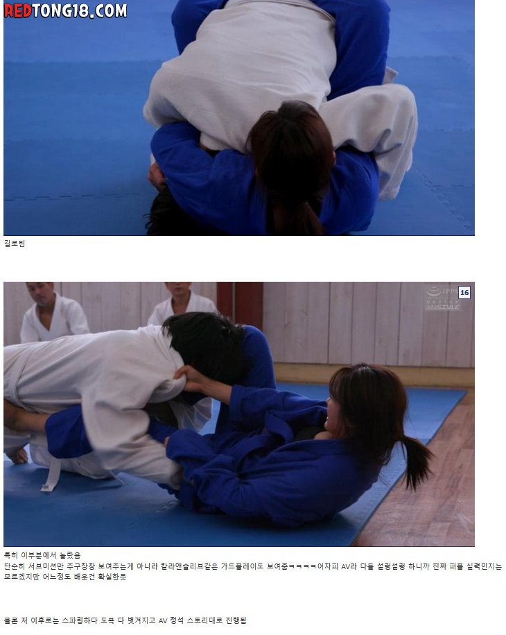 일본 야동 주짓수 기술을 보고 감탄한 주짓수갤러 