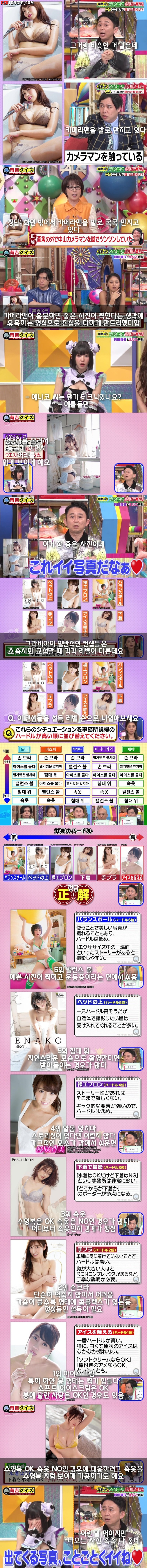 일본 방송의 그라비아 업계 퀴즈