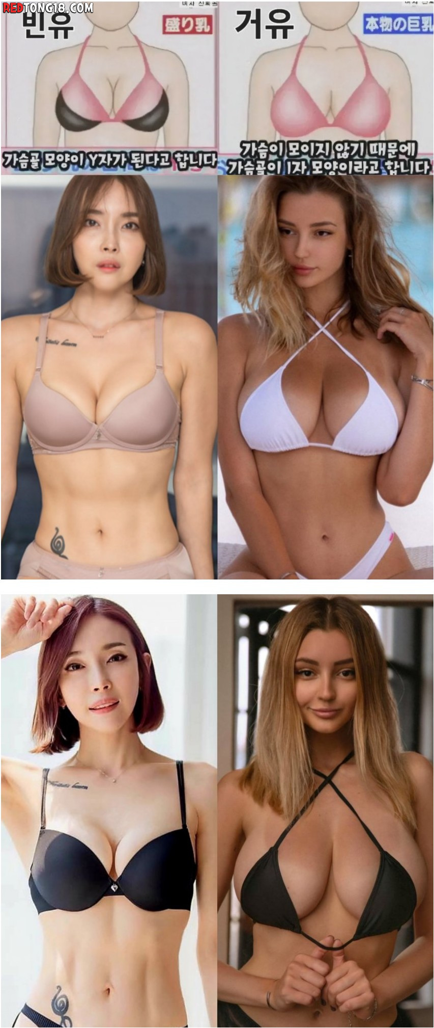 빈유 & 거유 확실하게 구별하는 방법