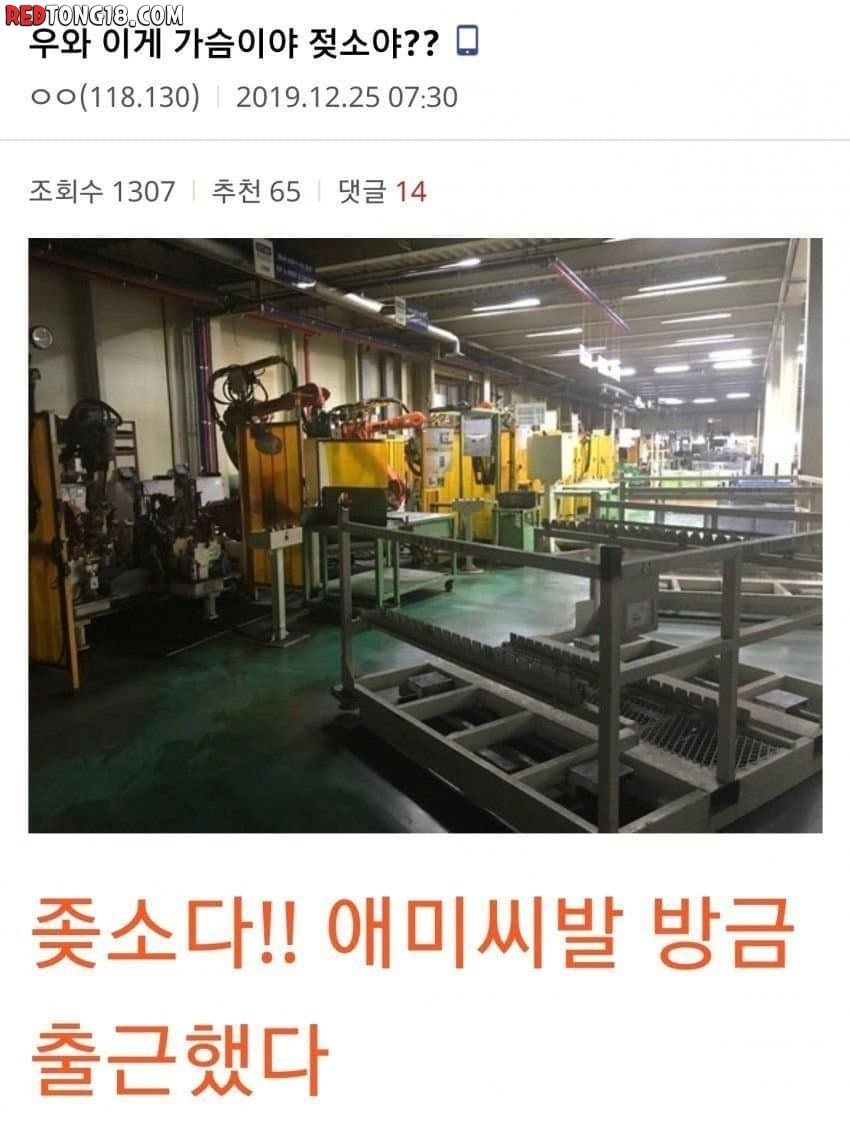 우와 이게 가슴이야 젖소야??