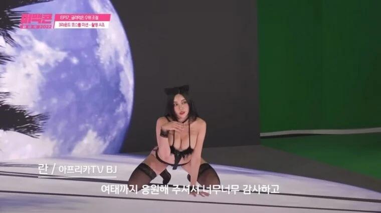 ㅎㅂ) 메타몽 고양이로 변신해줘!