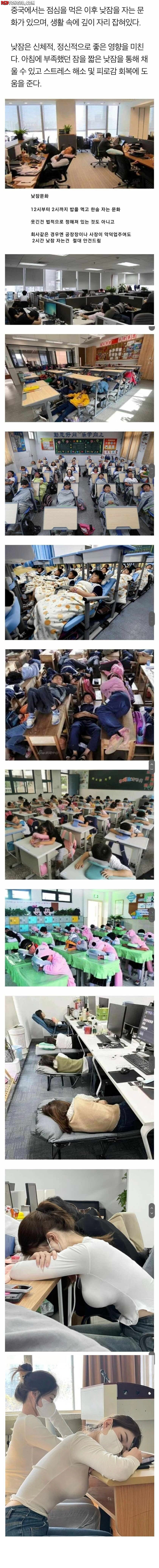 ㅇㅎ) 중국인들의 점심시간 문화