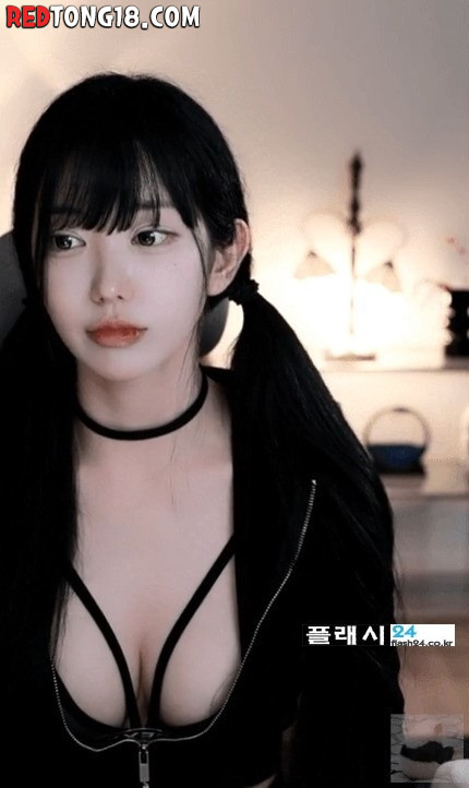 살짝 패치가 드러난 하니니