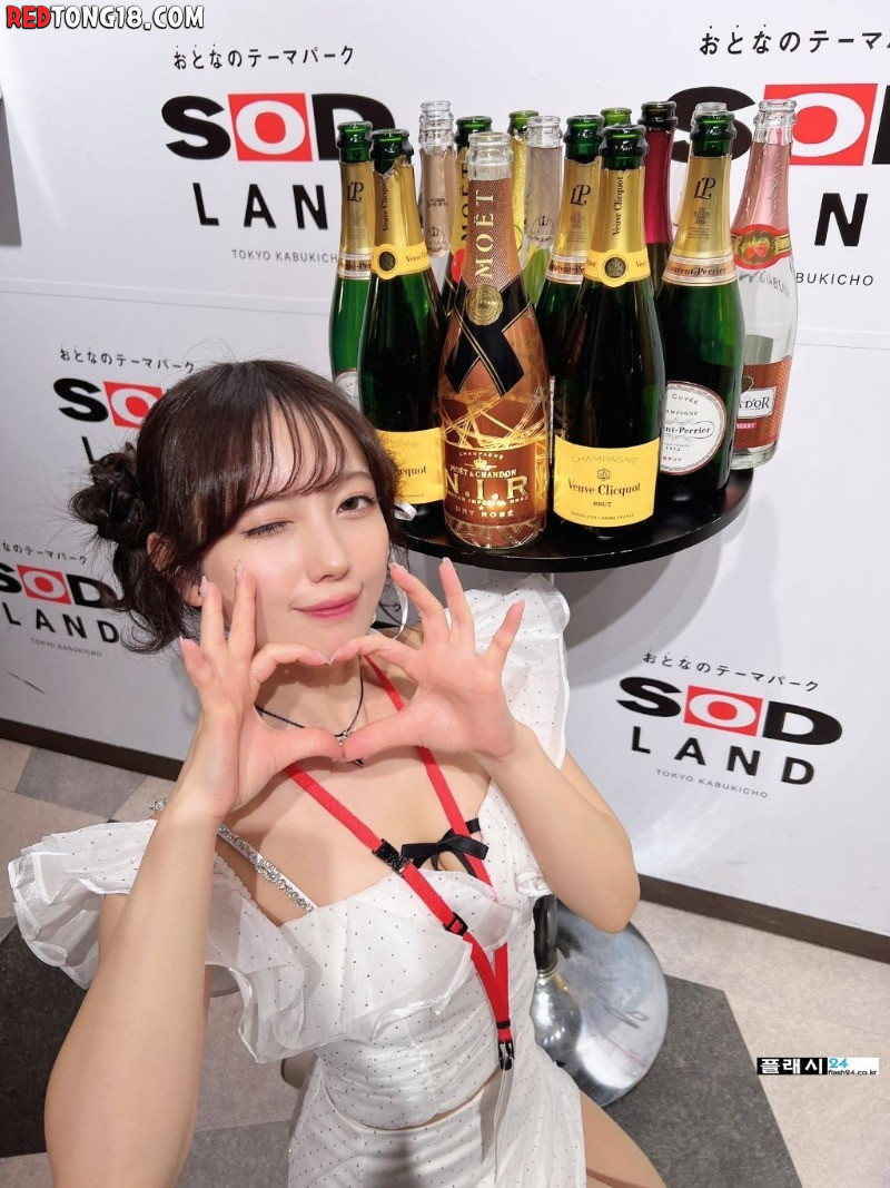 연예계 활동 은퇴하고 데뷔한 SOD 에이스급 배우