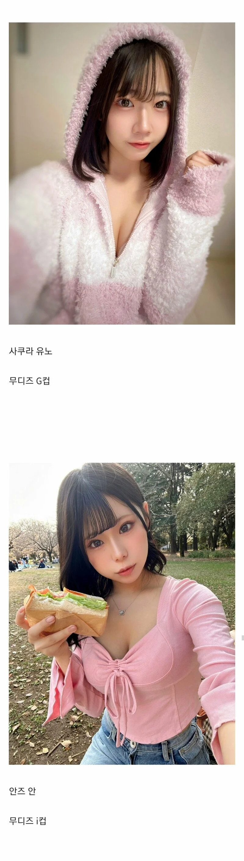 올해 데뷔하는 일본 AV 배우들