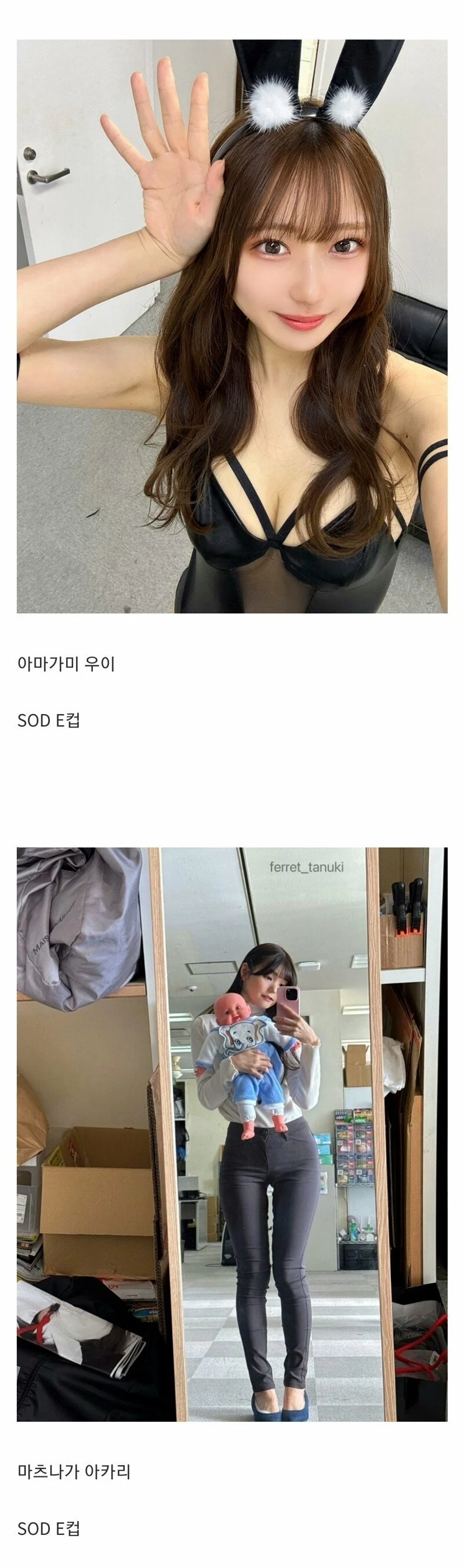 올해 데뷔하는 일본 AV 배우들
