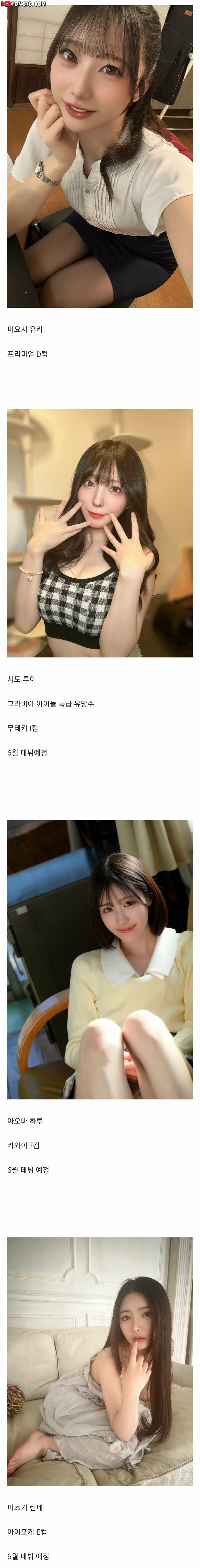 올해 데뷔하는 일본 AV 배우들