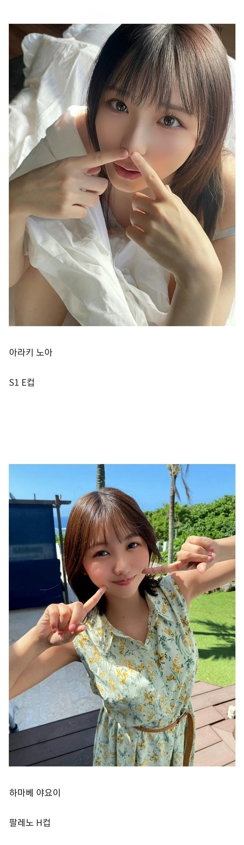 올해 데뷔하는 일본 AV 배우들