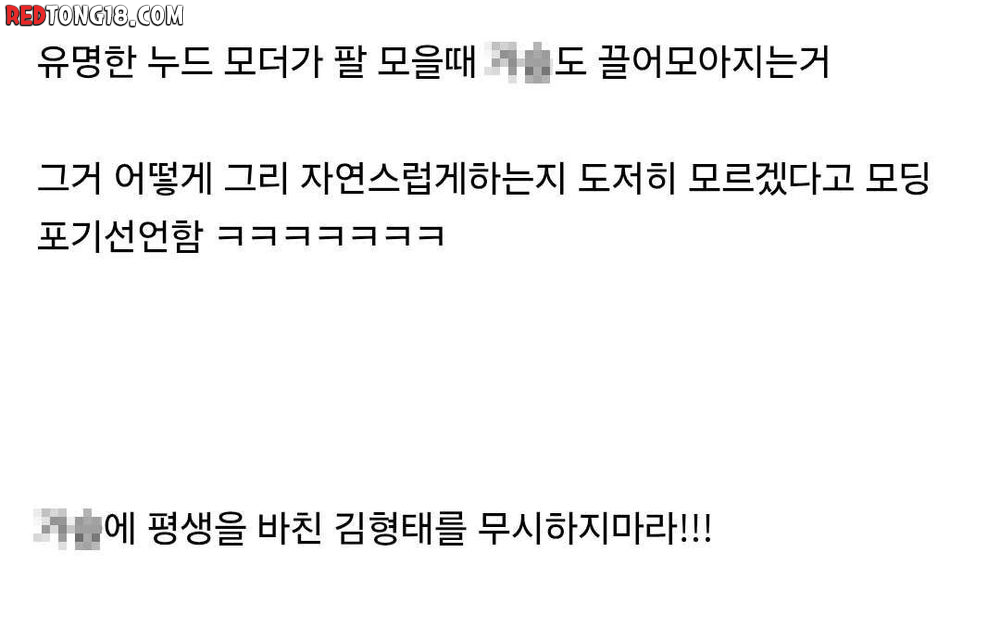 스텔라 블레이드 누드모드 제작자 모드 개발 포기한 이유