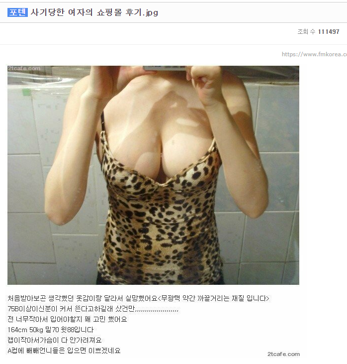 사기당한 어느 쇼핑몰의 처자