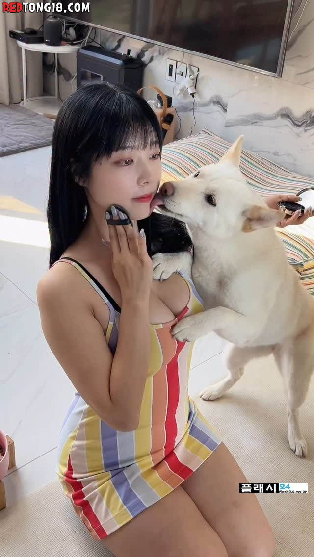 유투버 개조이 다르구나